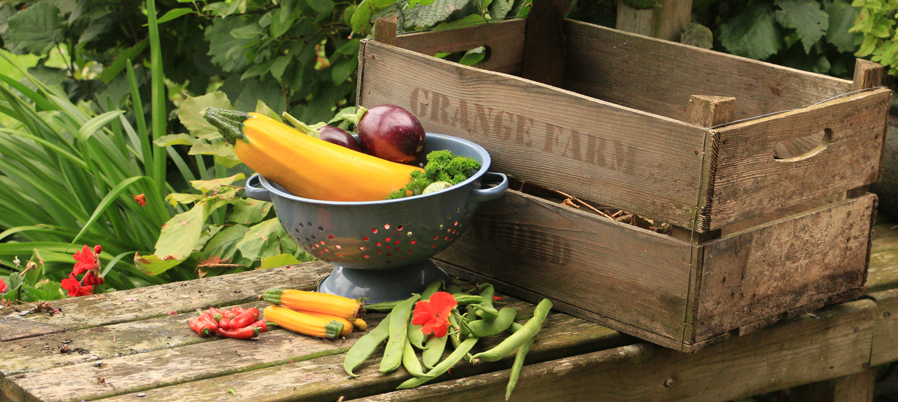 Garden_calendar_0107-1